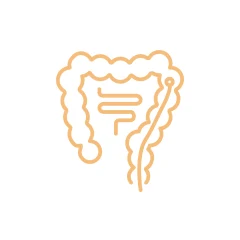 大腸カメラ検査について